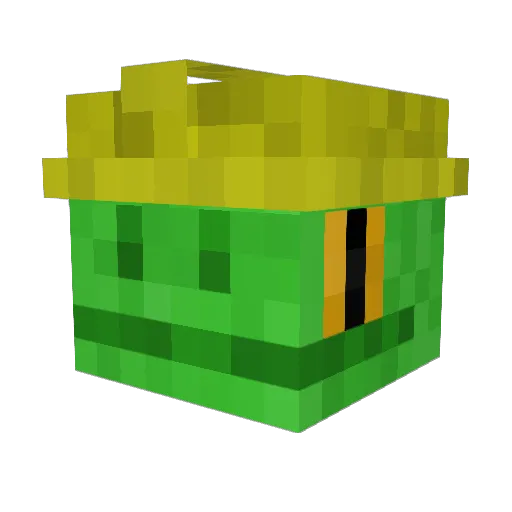 janitszar Minecraft avatar head, 3D render