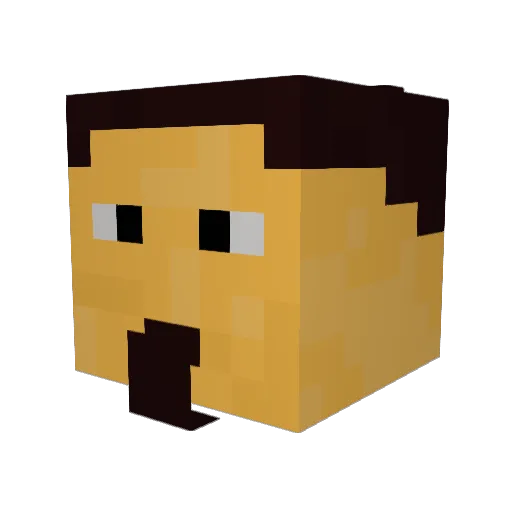 janj12 Minecraft avatar head, 3D render