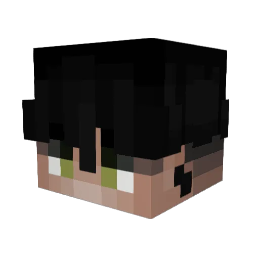 jank_69 Minecraft avatar head, 3D render