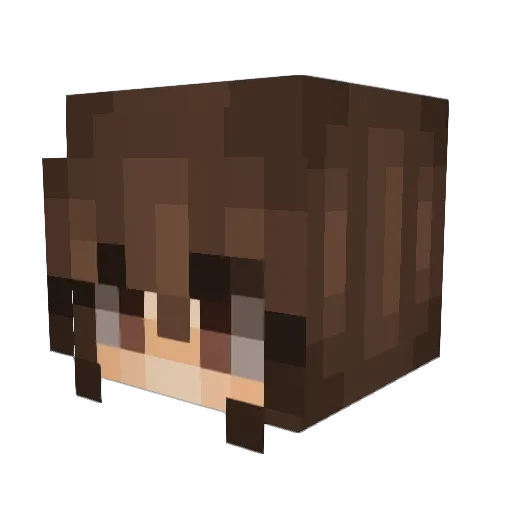 jankarkalarka Minecraft avatar head, 3D render