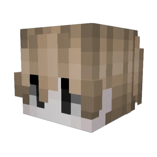 jankc Minecraft avatar head, 3D render