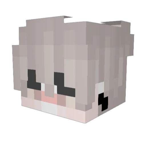 jankoterrorysta Minecraft avatar head, 3D render
