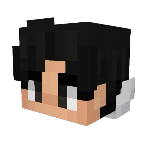 janksryan Minecraft avatar head, 3D render