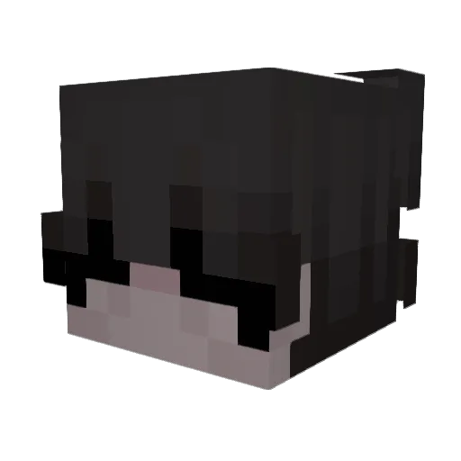 janluca201 Minecraft avatar head, 3D render