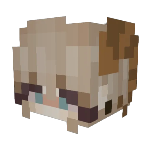 jannagriffin Minecraft avatar head, 3D render