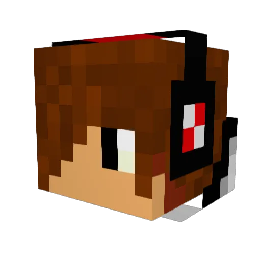 janneh14 Minecraft avatar head, 3D render