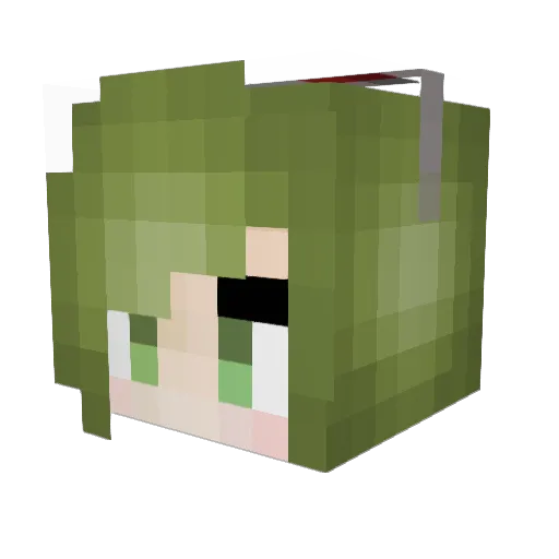 janny10 Minecraft avatar head, 3D render