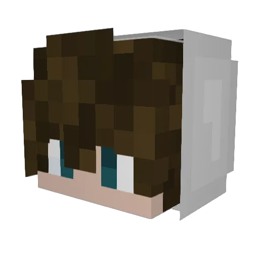 jannyXD Minecraft avatar head, 3D render