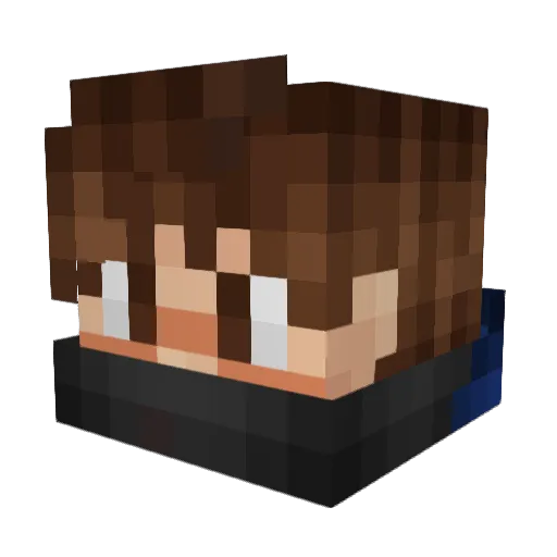 jannyboy110 Minecraft avatar head, 3D render
