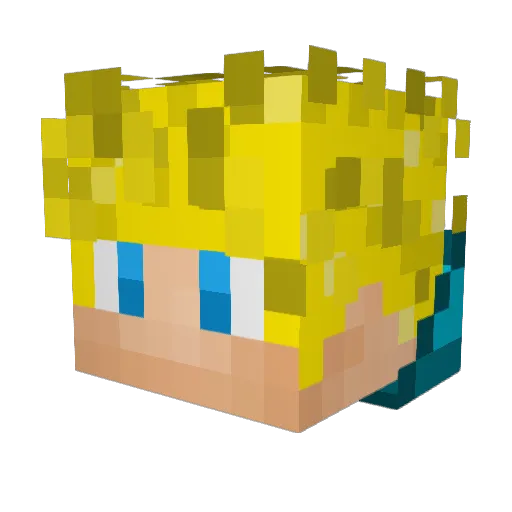 jannyboy313 Minecraft avatar head, 3D render