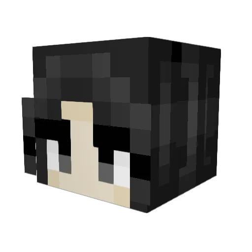 janodestroyer Minecraft avatar head, 3D render