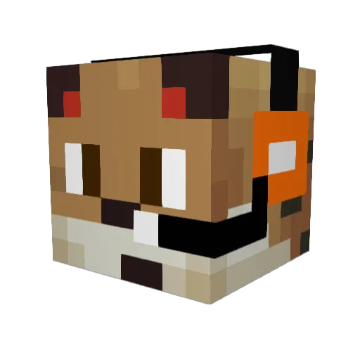 janohi Minecraft avatar head, 3D render