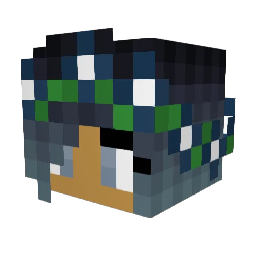 janou100 Minecraft avatar head, 3D render