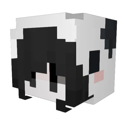 jans Minecraft avatar head, 3D render