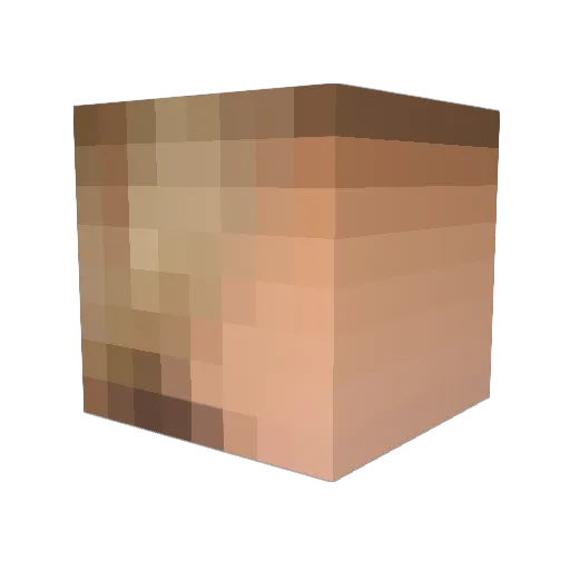 jantando Minecraft avatar head, 3D render