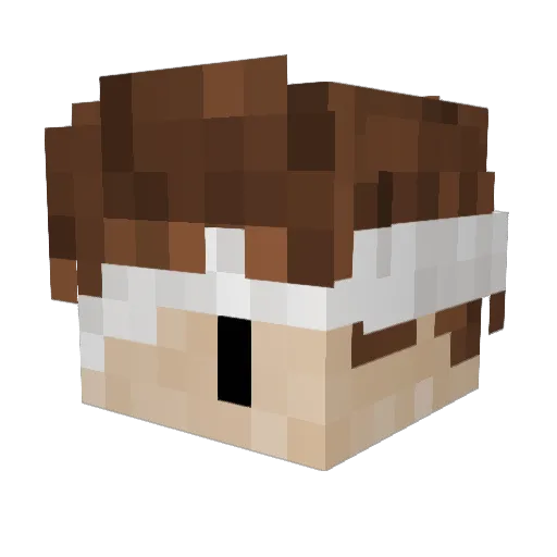 jantist Minecraft avatar head, 3D render