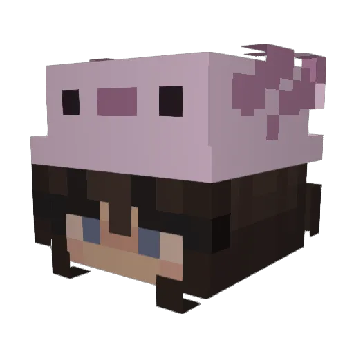 jantje_x_ Minecraft avatar head, 3D render