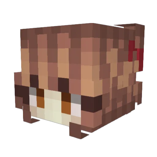 jantrys Minecraft avatar head, 3D render
