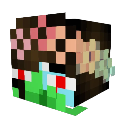 janusstefan Minecraft avatar head, 3D render