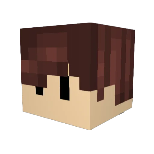 janwlwd Minecraft avatar head, 3D render