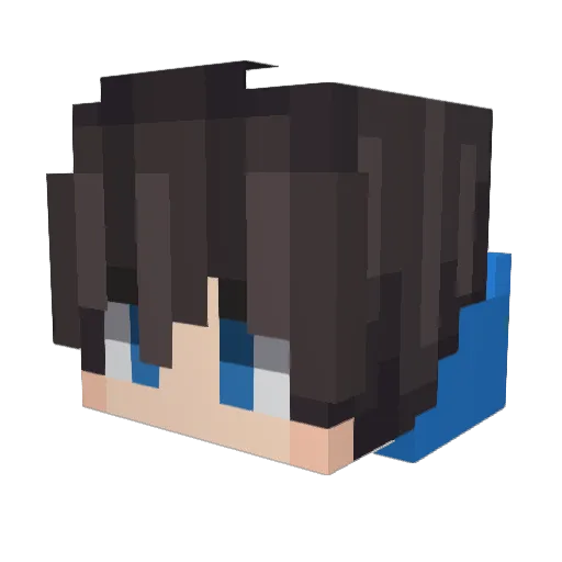 janzzzzxj Minecraft avatar head, 3D render