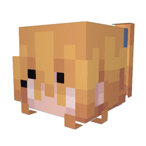 jao_pp Minecraft avatar head, 3D render