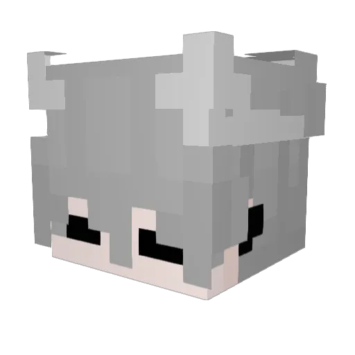 japapirataaaa Minecraft avatar head, 3D render