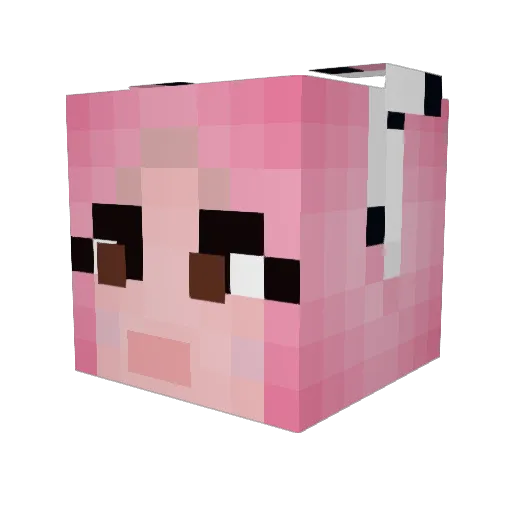 japindo Minecraft avatar head, 3D render
