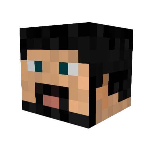 japinha25 Minecraft avatar head, 3D render