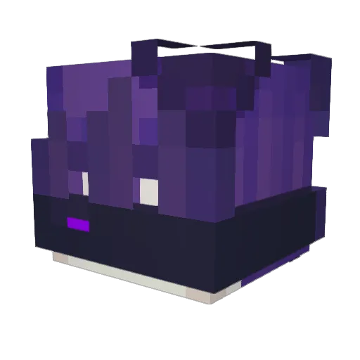 japko_zjem Minecraft avatar head, 3D render