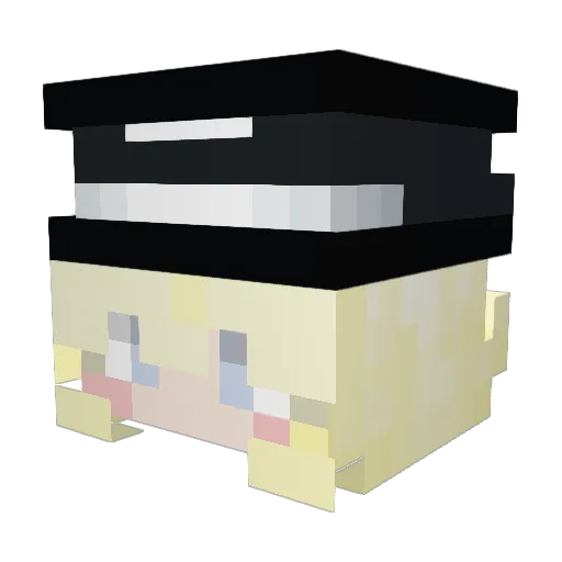 jappanware Minecraft avatar head, 3D render