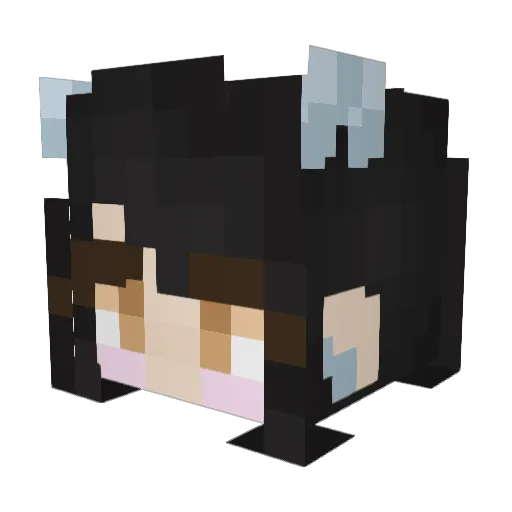 jaqksung Minecraft avatar head, 3D render