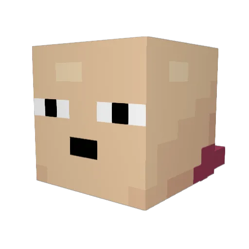 jarbfark529 Minecraft avatar head, 3D render