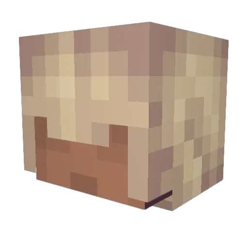 jarch16 Minecraft avatar head, 3D render