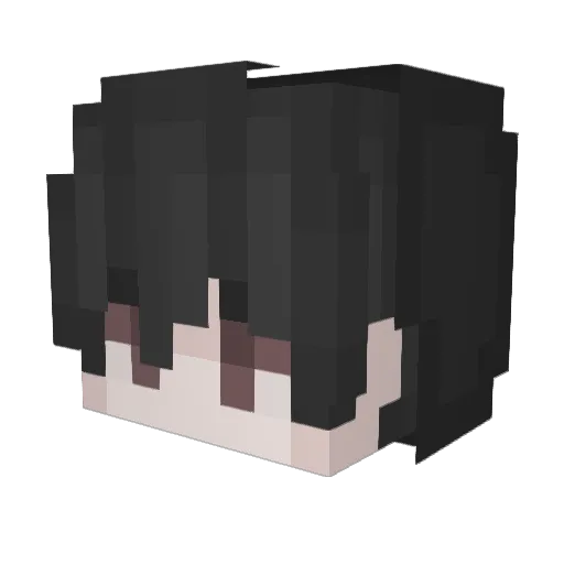 jaretin13 Minecraft avatar head, 3D render