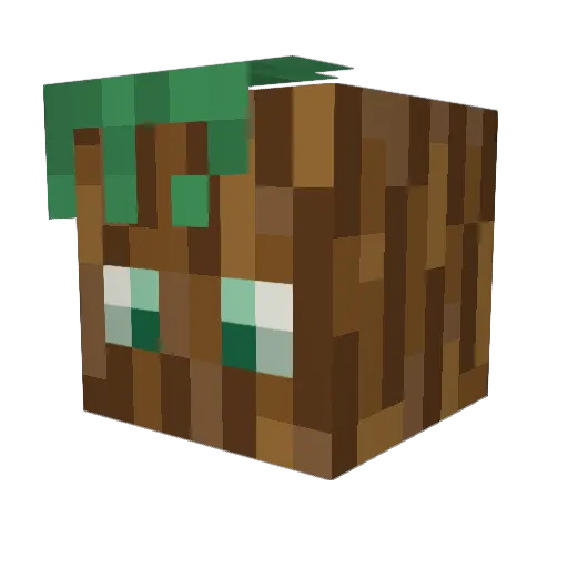 jarrodday337 Minecraft avatar head, 3D render