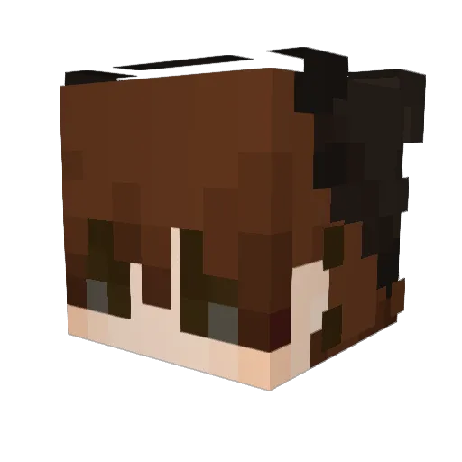 jas0n5 Minecraft avatar head, 3D render