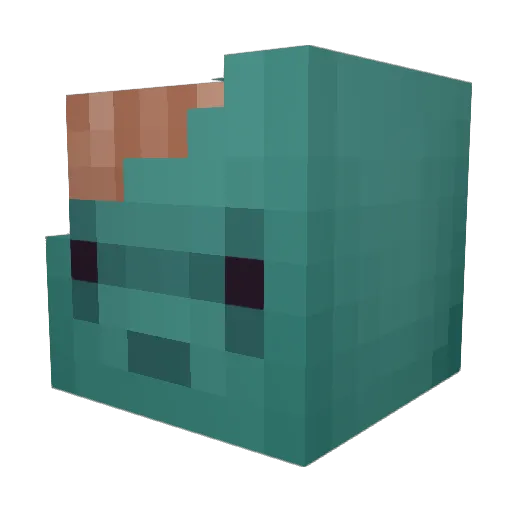 jas_mijn_craft Minecraft avatar head, 3D render