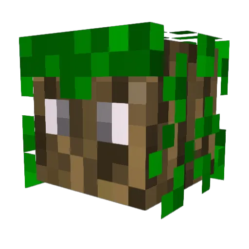 jasahek Minecraft avatar head, 3D render