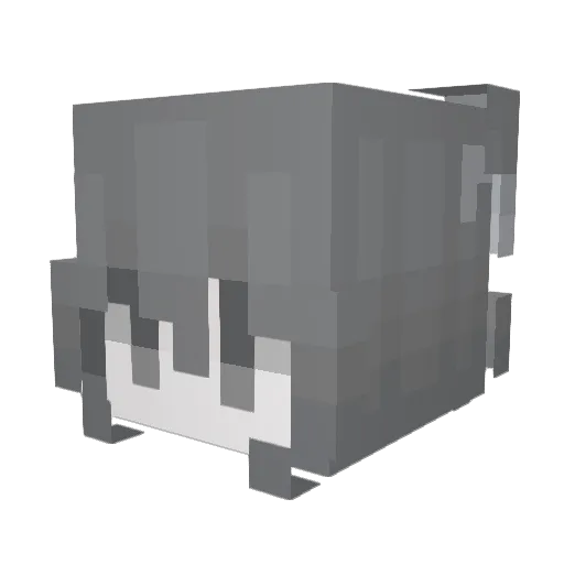 jasbuni Minecraft avatar head, 3D render