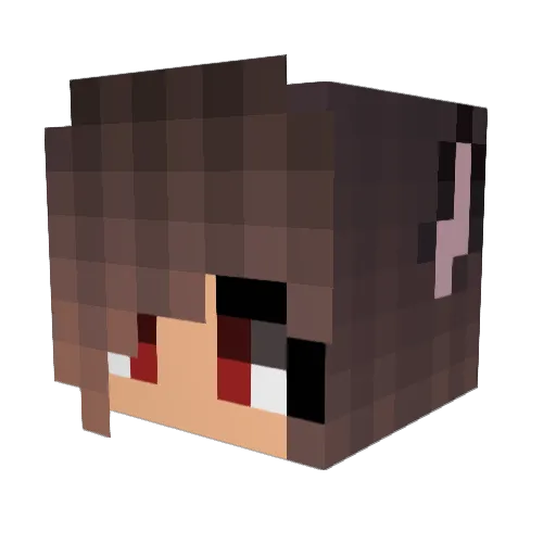 jasenialove Minecraft avatar head, 3D render
