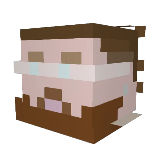 jasfartt Minecraft avatar head, 3D render