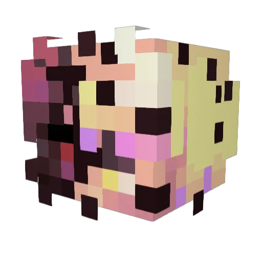 jashon Minecraft avatar head, 3D render