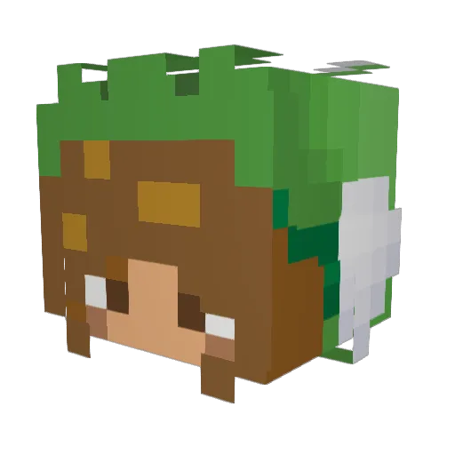 jasi97 Minecraft avatar head, 3D render