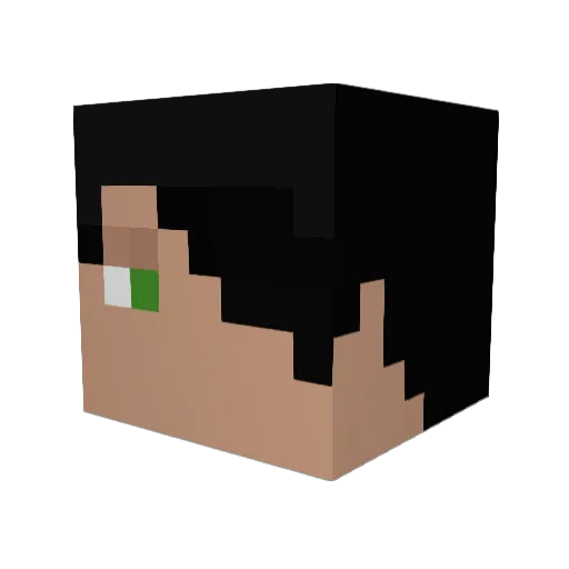 jasiluu Minecraft avatar head, 3D render