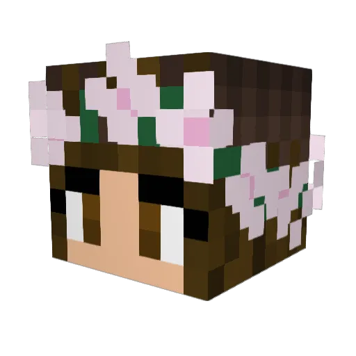 jasistired Minecraft avatar head, 3D render