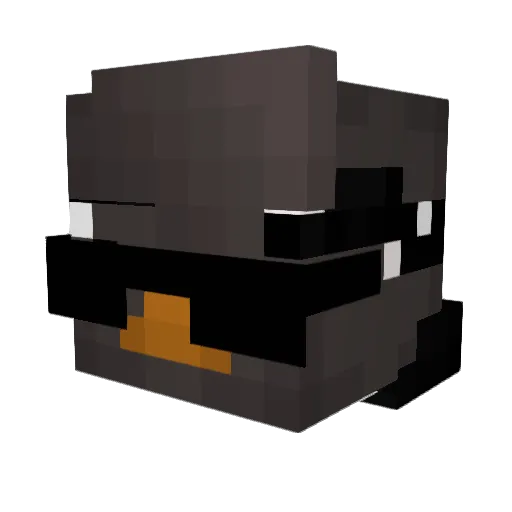 jasiupanbasiu1 Minecraft avatar head, 3D render