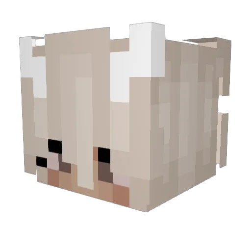jasmiinnV2 Minecraft avatar head, 3D render