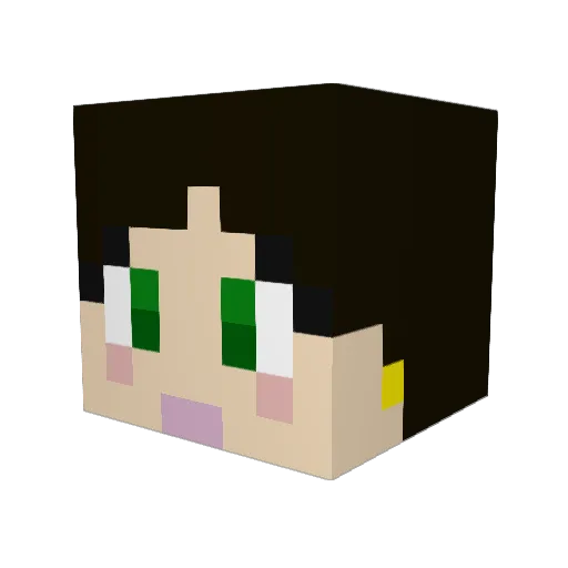 jasmin45 Minecraft avatar head, 3D render