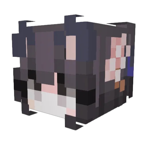 jasnii123 Minecraft avatar head, 3D render